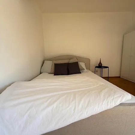 Lejlighed Cozy Studioapartment With Graden In Free Parking Graz